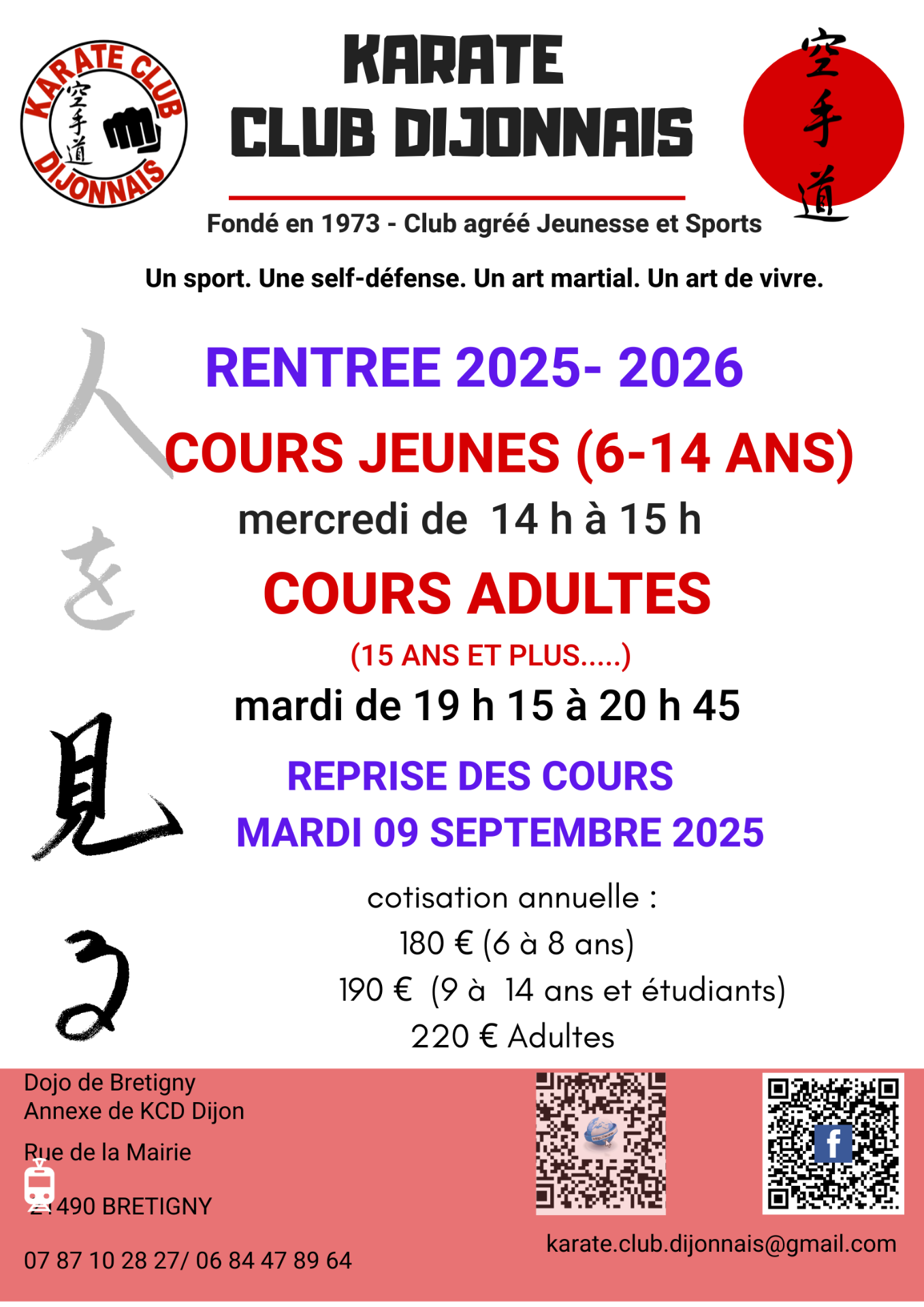 Reprise karaté 